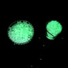 Gel Toy Nation Glow In The Dark Gel Bead Ammo 40,000 Beads